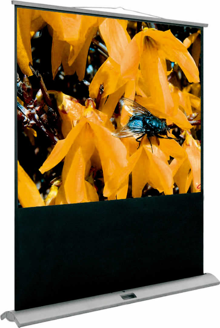 Alternative text - ORAY